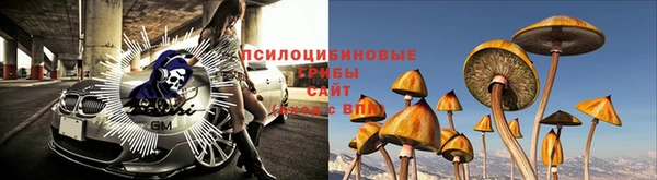 прущая мука Алексеевка